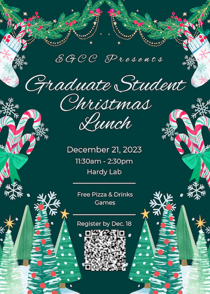 Christmas Lunch Poster